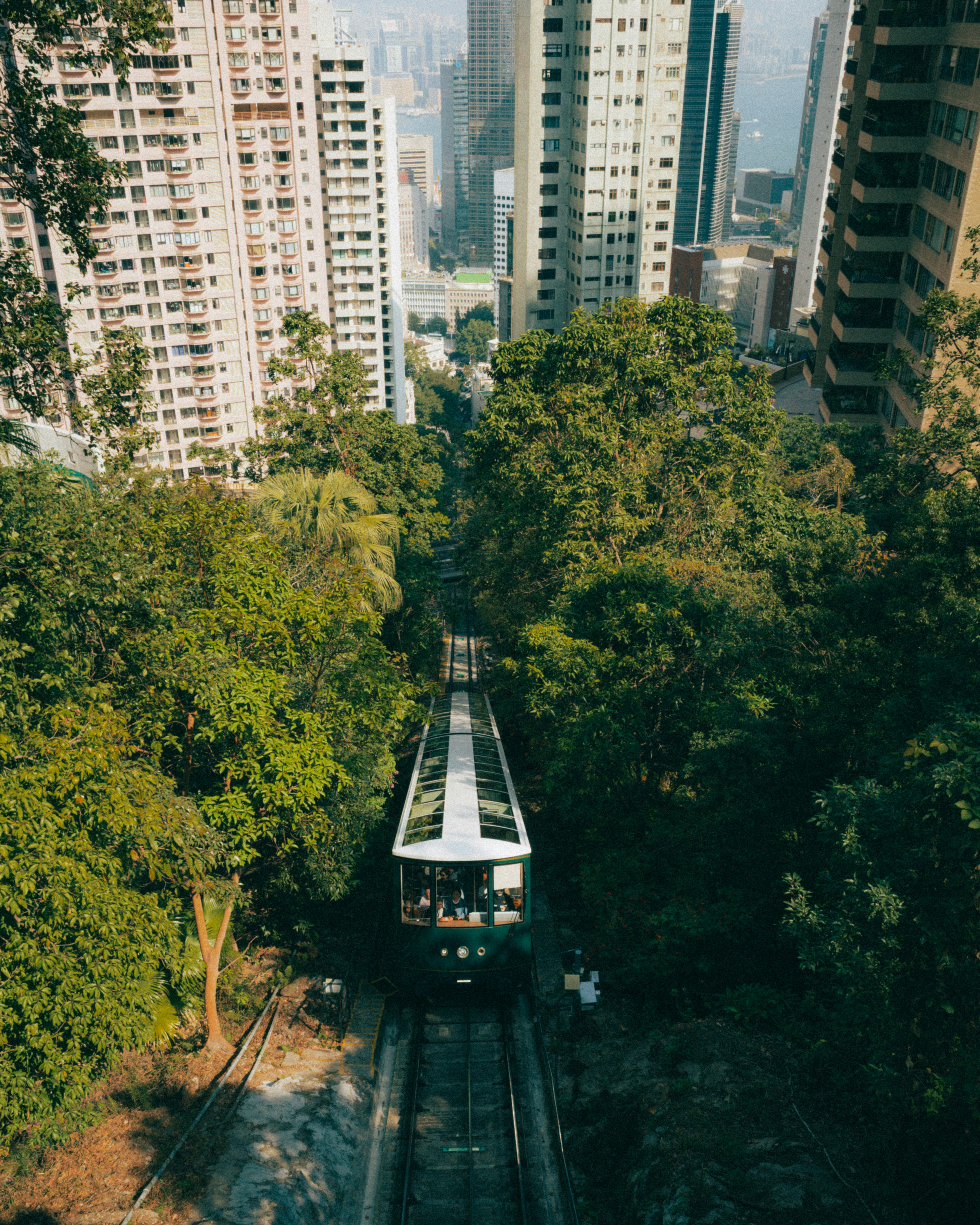 alex-safareli-MUDKfXQ7luc-unsplash