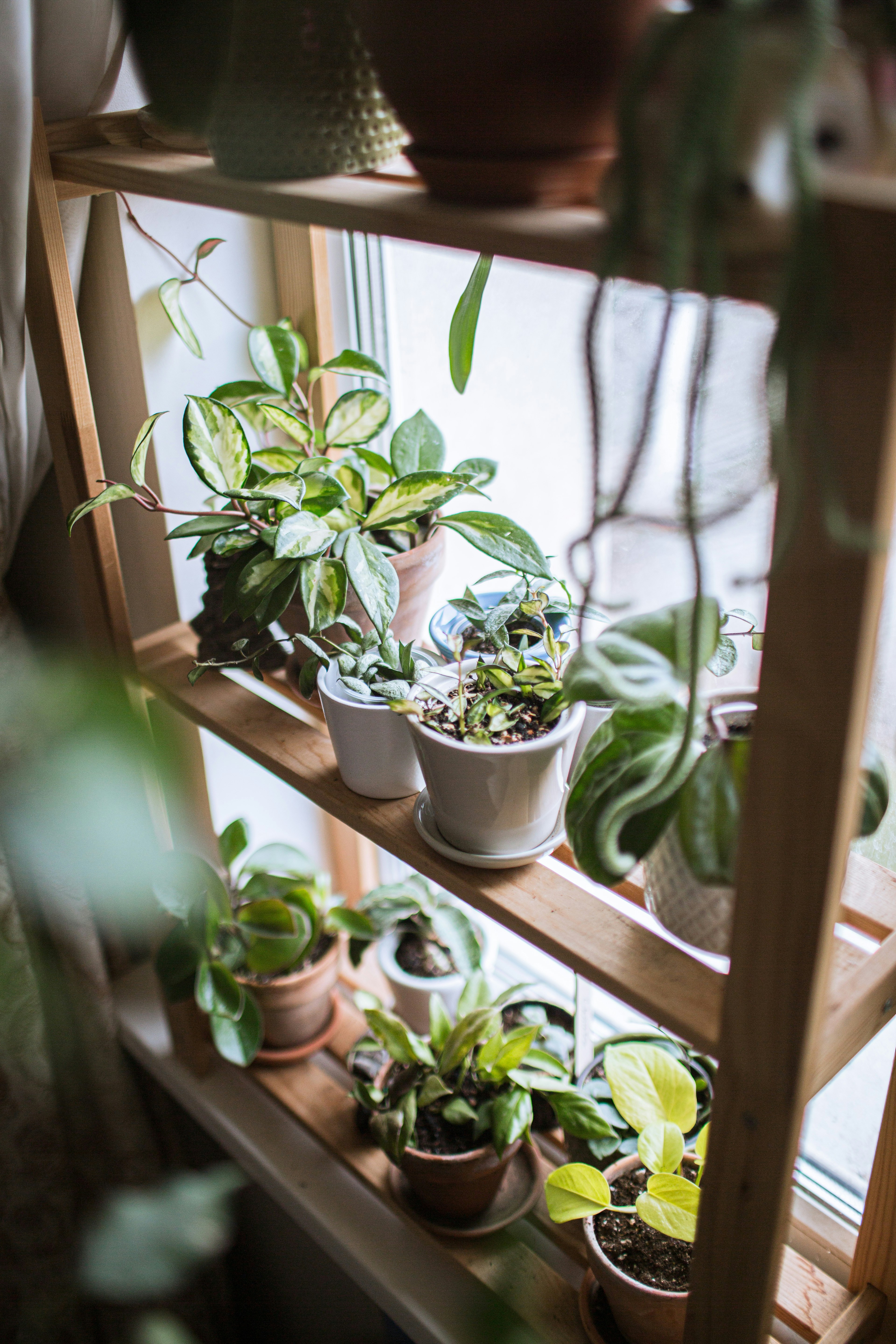 tatyana-rubleva-eg6JOdycgf0-unsplash